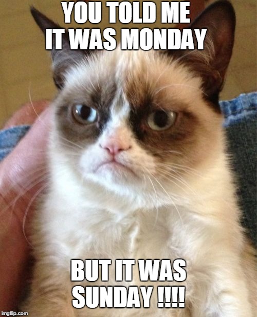 Grumpy Cat | YOU TOLD ME IT WAS MONDAY; BUT IT WAS SUNDAY !!!! | image tagged in memes,grumpy cat | made w/ Imgflip meme maker