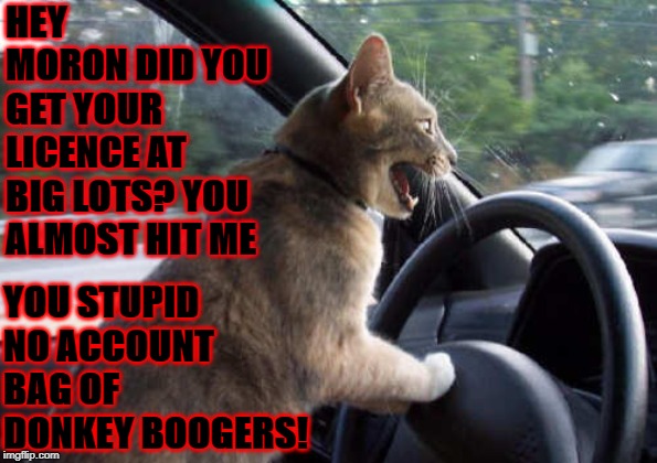 ROAD RAGE | HEY MORON DID YOU GET YOUR LICENCE AT BIG LOTS? YOU ALMOST HIT ME; YOU STUPID NO ACCOUNT BAG OF DONKEY BOOGERS! | image tagged in road rage | made w/ Imgflip meme maker
