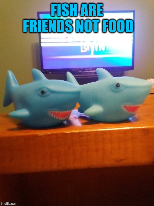 Shark squirting bath toys | FISH ARE FRIENDS NOT FOOD | image tagged in shark | made w/ Imgflip meme maker