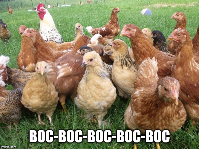 BOC-BOC-BOC-BOC-BOC | made w/ Imgflip meme maker