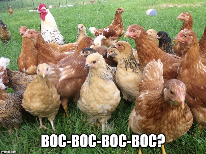 BOC-BOC-BOC-BOC? | made w/ Imgflip meme maker