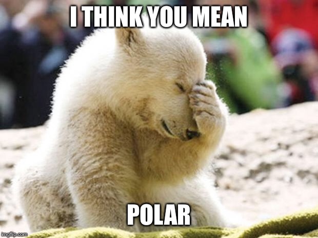 Sad Polar Bear | I THINK YOU MEAN POLAR | image tagged in sad polar bear | made w/ Imgflip meme maker