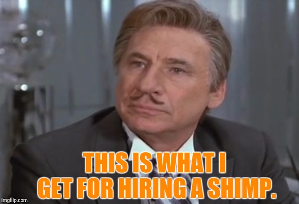 THIS IS WHAT I GET FOR HIRING A SHIMP. | made w/ Imgflip meme maker