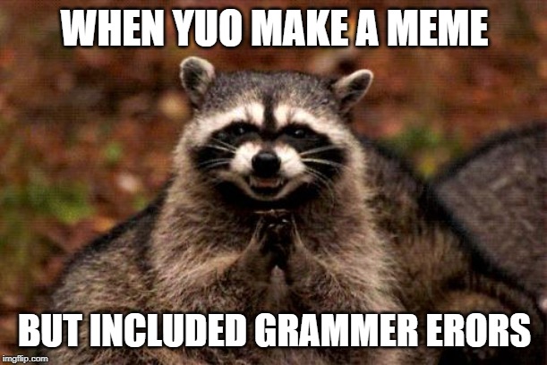 Evil Plotting Raccoon Meme | WHEN YUO MAKE A MEME BUT INCLUDED GRAMMER ERORS | image tagged in memes,evil plotting raccoon | made w/ Imgflip meme maker