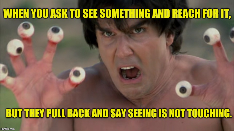 Eyes | WHEN YOU ASK TO SEE SOMETHING AND REACH FOR IT, BUT THEY PULL BACK AND SAY SEEING IS NOT TOUCHING. | image tagged in kung pow fury | made w/ Imgflip meme maker
