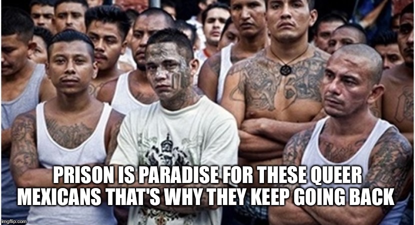 Ms 13 | PRISON IS PARADISE FOR THESE QUEER MEXICANS THAT'S WHY THEY KEEP GOING BACK | image tagged in ms 13 | made w/ Imgflip meme maker