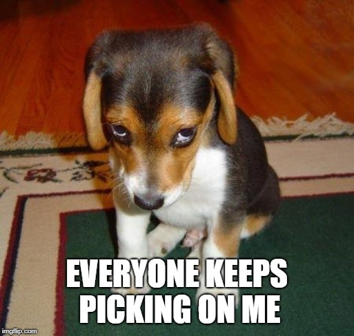 Sad puppy | EVERYONE KEEPS PICKING ON ME | image tagged in sad puppy | made w/ Imgflip meme maker