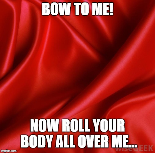 Satin | BOW TO ME! NOW ROLL YOUR BODY ALL OVER ME... | image tagged in satin | made w/ Imgflip meme maker