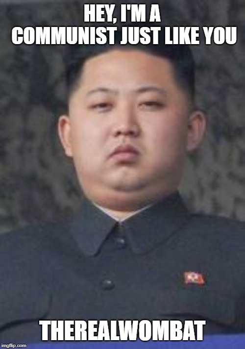 Kim Jong Un | HEY, I'M A COMMUNIST JUST LIKE YOU THEREALWOMBAT | image tagged in kim jong un | made w/ Imgflip meme maker