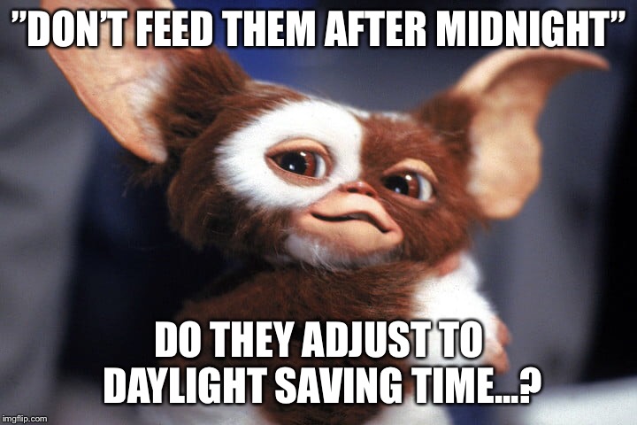 And what happens if I take them from Eastern Time to Pacific Time? | ”DON’T FEED THEM AFTER MIDNIGHT”; DO THEY ADJUST TO DAYLIGHT SAVING TIME...? | image tagged in gremlins | made w/ Imgflip meme maker