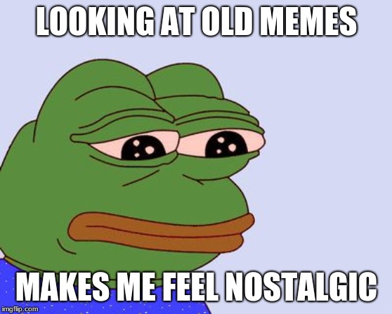 Pepe the Frog | LOOKING AT OLD MEMES; MAKES ME FEEL NOSTALGIC | image tagged in pepe the frog | made w/ Imgflip meme maker