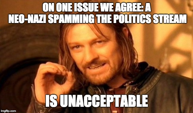 One Does Not Simply Meme | ON ONE ISSUE WE AGREE: A NEO-NAZI SPAMMING THE POLITICS STREAM; IS UNACCEPTABLE | image tagged in memes,one does not simply | made w/ Imgflip meme maker