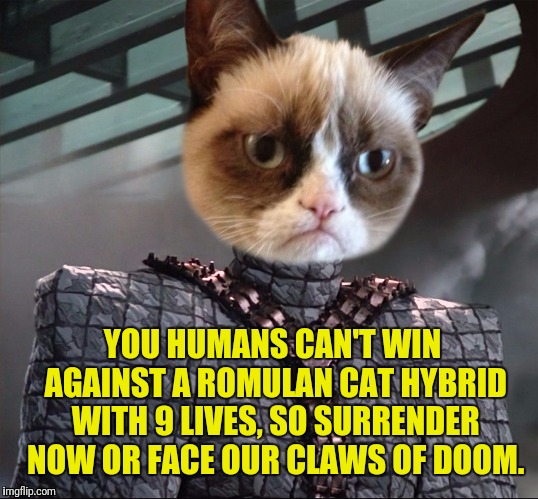 YOU HUMANS CAN'T WIN AGAINST A ROMULAN CAT HYBRID WITH 9 LIVES, SO SURRENDER NOW OR FACE OUR CLAWS OF DOOM. | made w/ Imgflip meme maker