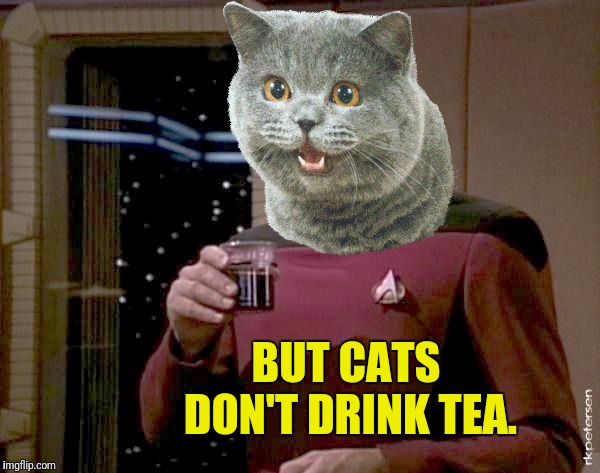 BUT CATS DON'T DRINK TEA. | made w/ Imgflip meme maker