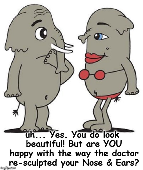 How to Compliment Cosmetic Surgery | uh... Yes. You do look beautiful! But are YOU happy with the way the doctor re-sculpted your Nose & Ears? | image tagged in vince vance,plastic surgery,cosmetic surgery,rhinoplasty,ear lift,short elephant trunk | made w/ Imgflip meme maker
