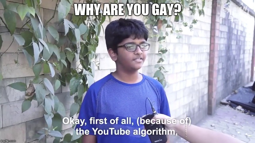 blue shirt kid |  WHY ARE YOU GAY? | image tagged in funny | made w/ Imgflip meme maker