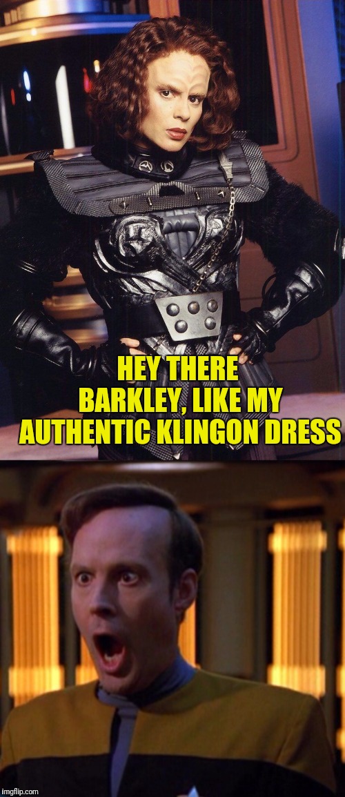 Simply Answer Is Yes | HEY THERE BARKLEY, LIKE MY AUTHENTIC KLINGON DRESS | image tagged in star trek voyager,klingon warrior,klingon,sexy | made w/ Imgflip meme maker