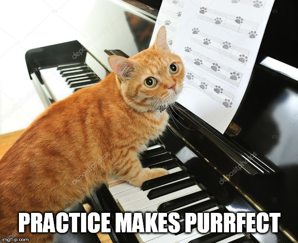 PRACTICE MAKES PURRFECT | made w/ Imgflip meme maker