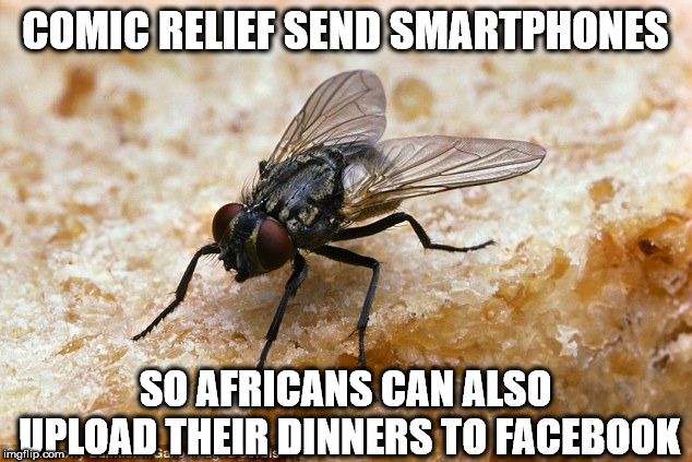 Facebook dinner | COMIC RELIEF SEND SMARTPHONES; SO AFRICANS CAN ALSO UPLOAD THEIR DINNERS TO FACEBOOK | image tagged in facebook,dinner,fly | made w/ Imgflip meme maker