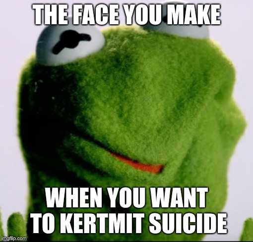 THE FACE YOU MAKE; WHEN YOU WANT TO KERTMIT SUICIDE | image tagged in kermit | made w/ Imgflip meme maker