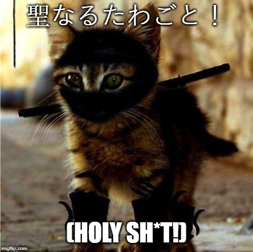 Ninja Cat | 聖なるたわごと！ (HOLY SH*T!) | image tagged in ninja cat | made w/ Imgflip meme maker