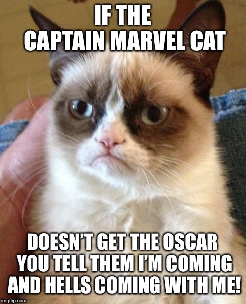 Grumpy Cat Meme | IF THE CAPTAIN MARVEL CAT; DOESN’T GET THE OSCAR YOU TELL THEM I’M COMING AND HELLS COMING WITH ME! | image tagged in memes,grumpy cat | made w/ Imgflip meme maker