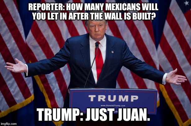 Donald Trump | REPORTER: HOW MANY MEXICANS WILL YOU LET IN AFTER THE WALL IS BUILT? TRUMP: JUST JUAN. | image tagged in donald trump | made w/ Imgflip meme maker