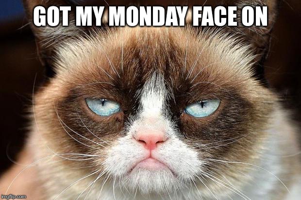 Grumpy Cat Not Amused | GOT MY MONDAY FACE ON | image tagged in memes,grumpy cat not amused,grumpy cat | made w/ Imgflip meme maker
