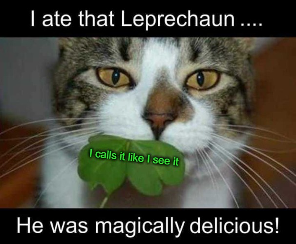 Happy Saint Paddy's Day |  I calls it like I see it | image tagged in drink 'til you drop,irish whiskey,bailey's,pick your poison,leprechauns,guinness | made w/ Imgflip meme maker
