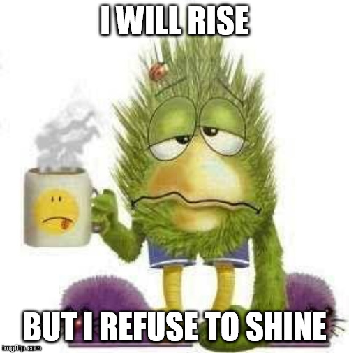 SICK & TIRED | I WILL RISE; BUT I REFUSE TO SHINE | image tagged in sick  tired | made w/ Imgflip meme maker