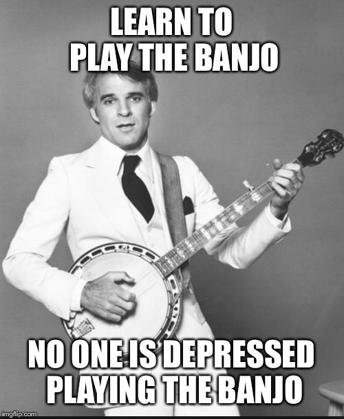 steve martin the jerk | LEARN TO PLAY THE BANJO NO ONE IS DEPRESSED PLAYING THE BANJO | image tagged in steve martin the jerk | made w/ Imgflip meme maker