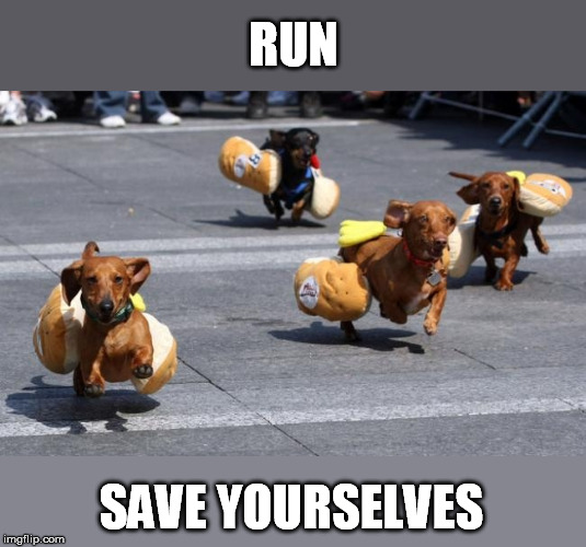 RUN SAVE YOURSELVES | made w/ Imgflip meme maker