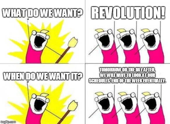 What Do We Want | WHAT DO WE WANT? REVOLUTION! TOMORROW OR THE DAY AFTER, WE WILL HAVE TO LOOK AT OUR SCHEDULES. END OF THE WEEK EVENTUALLY. WHEN DO WE WANT IT? | image tagged in memes,what do we want | made w/ Imgflip meme maker