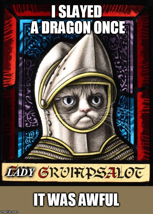 Grumpy Knight | I SLAYED A DRAGON ONCE; LADY; IT WAS AWFUL | image tagged in grumpy cat,knight,dragon | made w/ Imgflip meme maker
