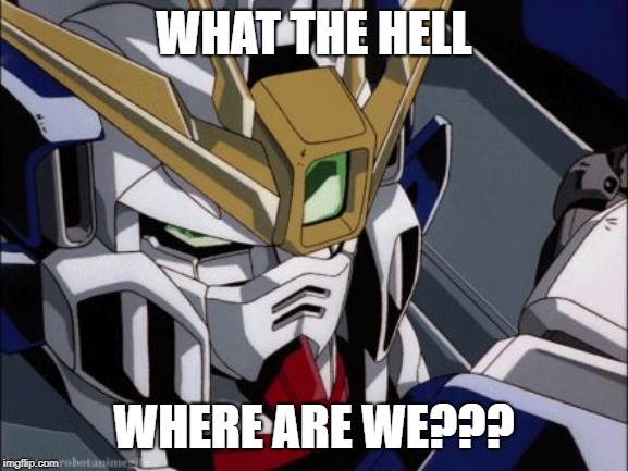 Gundam wing | WHAT THE HELL WHERE ARE WE??? | image tagged in gundam wing | made w/ Imgflip meme maker