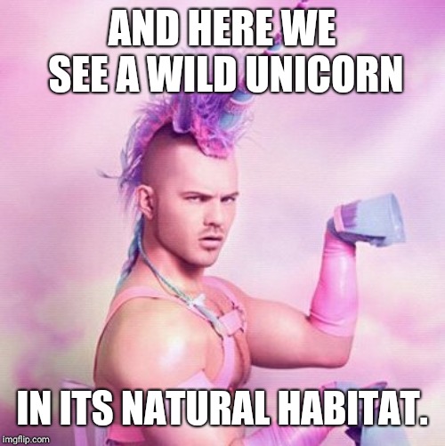 Unicorn MAN | AND HERE WE SEE A WILD UNICORN; IN ITS NATURAL HABITAT. | image tagged in memes,unicorn man | made w/ Imgflip meme maker