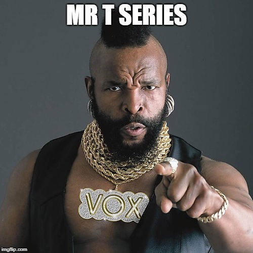 Mr T Pity The Fool | MR T SERIES | image tagged in memes,mr t pity the fool | made w/ Imgflip meme maker