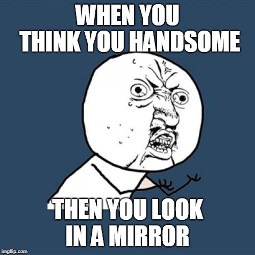 Y U No Meme | WHEN YOU THINK YOU HANDSOME; THEN YOU LOOK IN A MIRROR | image tagged in memes,y u no | made w/ Imgflip meme maker