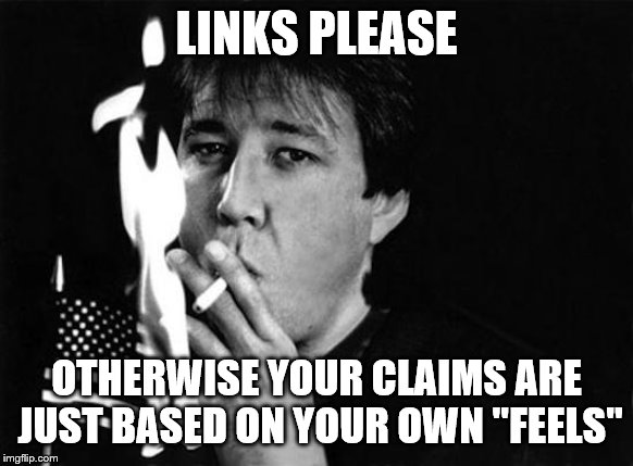 LINKS PLEASE OTHERWISE YOUR CLAIMS ARE JUST BASED ON YOUR OWN "FEELS" | made w/ Imgflip meme maker