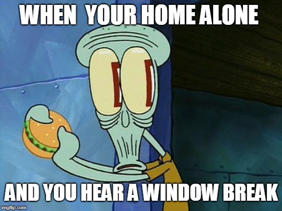 Oh shit Squidward | WHEN  YOUR HOME ALONE; AND YOU HEAR A WINDOW BREAK | image tagged in oh shit squidward | made w/ Imgflip meme maker