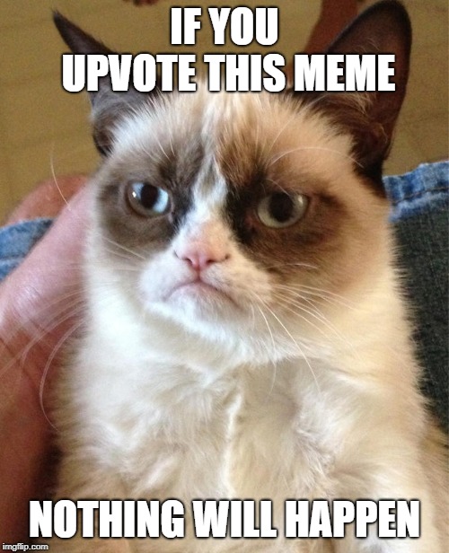 GrumpyCat | IF YOU UPVOTE THIS MEME; NOTHING WILL HAPPEN | image tagged in grumpycat | made w/ Imgflip meme maker