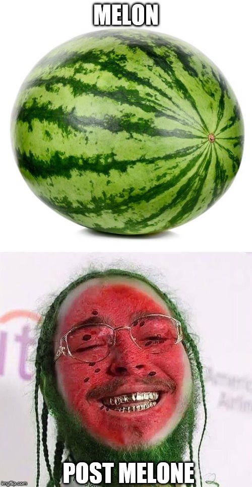 Difference? | MELON; POST MELONE | image tagged in post malone,memes,fruits | made w/ Imgflip meme maker