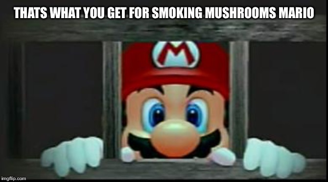 Mario In Jail | THATS WHAT YOU GET FOR SMOKING MUSHROOMS MARIO | image tagged in mario in jail | made w/ Imgflip meme maker