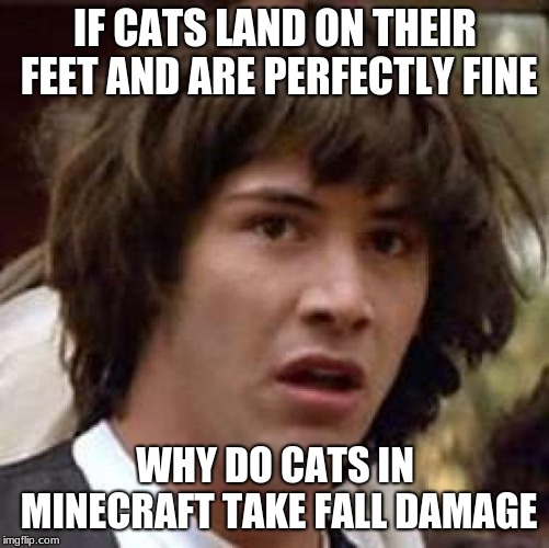 Conspiracy Keanu Meme | IF CATS LAND ON THEIR FEET AND ARE PERFECTLY FINE; WHY DO CATS IN MINECRAFT TAKE FALL DAMAGE | image tagged in memes,conspiracy keanu | made w/ Imgflip meme maker