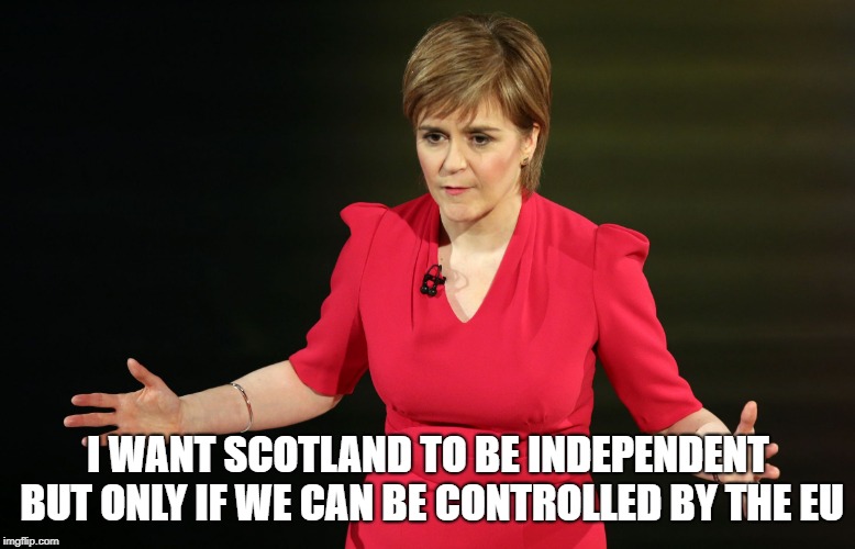 I WANT SCOTLAND TO BE INDEPENDENT BUT ONLY IF WE CAN BE CONTROLLED BY THE EU | image tagged in sturgeon | made w/ Imgflip meme maker