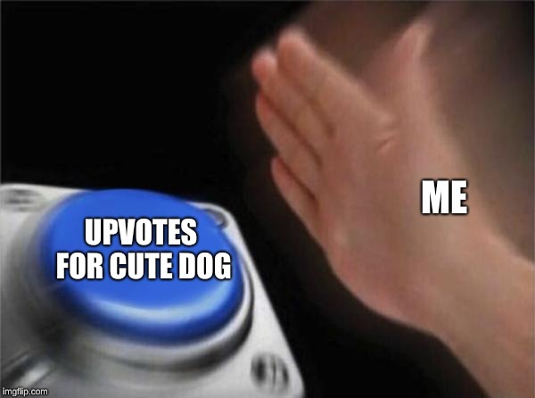 ME UPVOTES FOR CUTE DOG | image tagged in memes,blank nut button | made w/ Imgflip meme maker