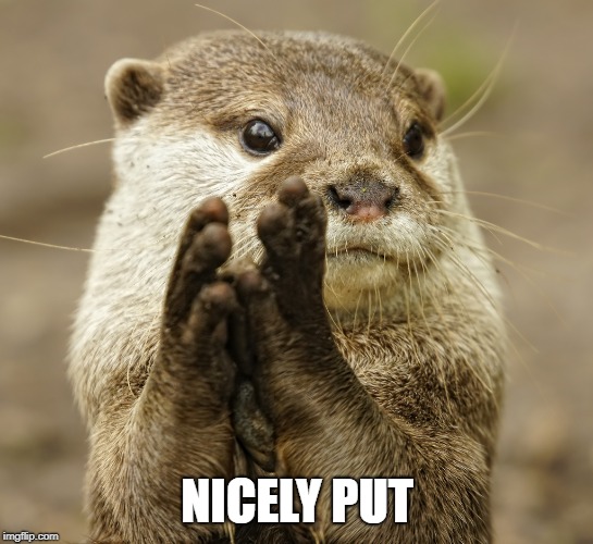 Squirrel Applause | NICELY PUT | image tagged in squirrel applause | made w/ Imgflip meme maker