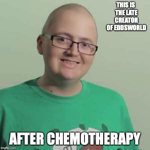 Edd Gould Last Days | THIS IS THE LATE CREATOR OF EDDSWORLD; AFTER CHEMOTHERAPY | image tagged in edd gould,eddsworld,memes | made w/ Imgflip meme maker