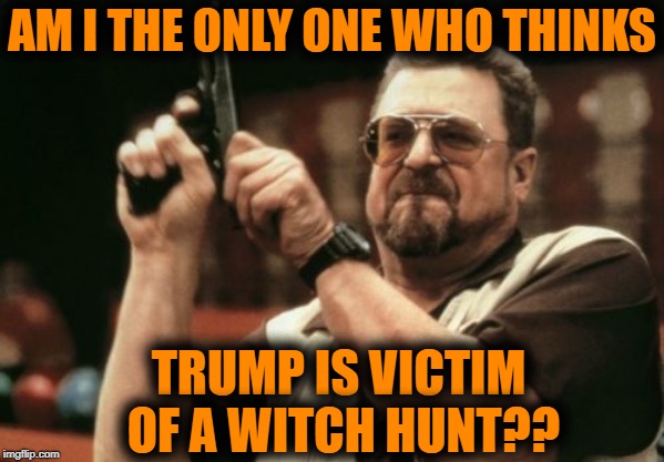 A recent poll suggests about half of Americans agree! | AM I THE ONLY ONE WHO THINKS; TRUMP IS VICTIM OF A WITCH HUNT?? | image tagged in am i the only one around here,trump,victim | made w/ Imgflip meme maker