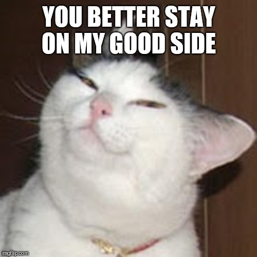 smug cat | YOU BETTER STAY ON MY GOOD SIDE | image tagged in smug cat | made w/ Imgflip meme maker
